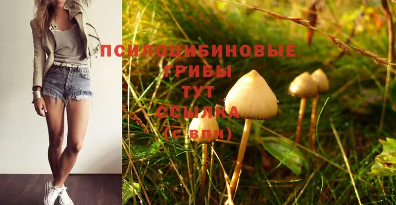 Псилоцибиновые грибы MAGIC MUSHROOMS  Ипатово 